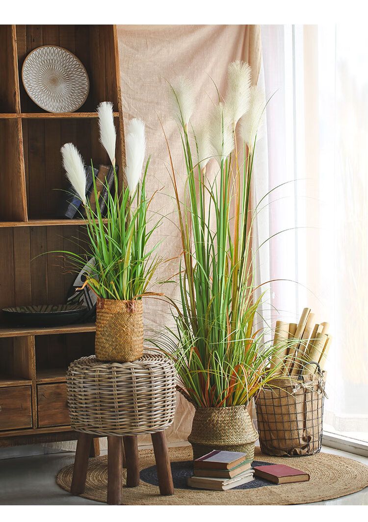 京挑细选仿真植物芦苇大型盆栽狗尾洋葱假草香蒲落地绿植北欧家居摆件