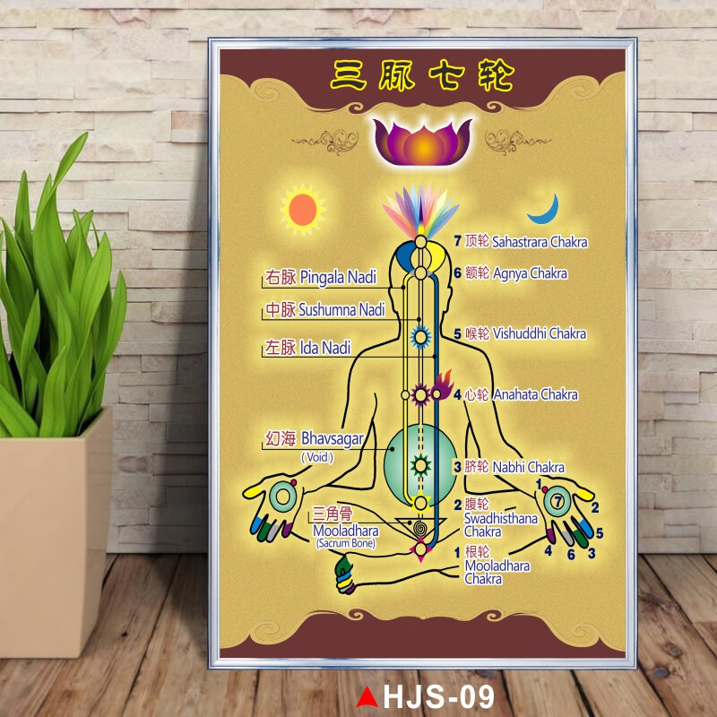 三脉七轮位置图人体七轮图经络生命能量中脉七轮瑜伽挂图水晶石疗法和