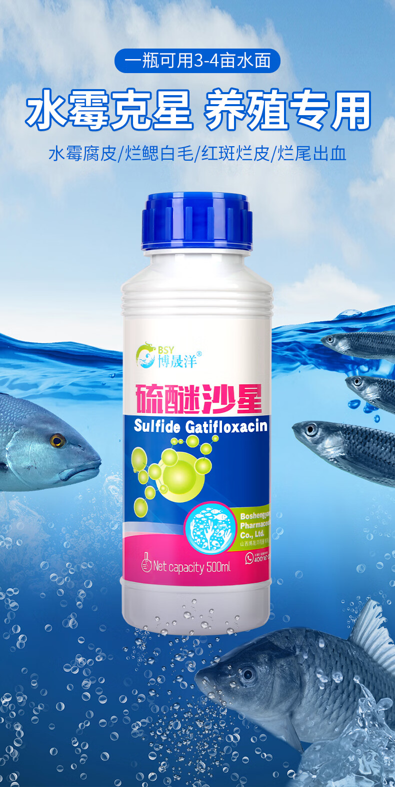 博晟洋硫醚沙星40水产养殖专用药鱼塘防治爆发性出血烂鳃赤皮打印腐皮