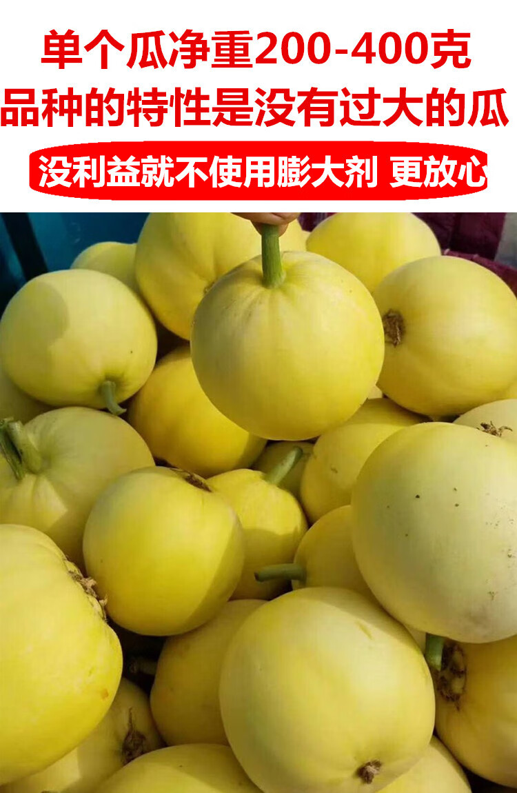 顺丰甜瓜香瓜星甜20小蜜蜂蜜罐甜瓜现货新鲜水果整箱山东甜瓜一级果2