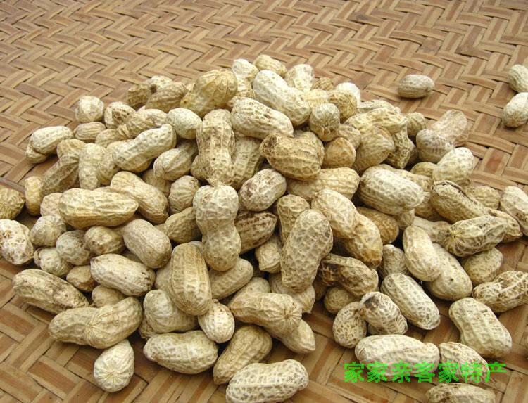 客河源忠信花生皇 白肉咸干花生2斤水煮日晒干广东咸脆蒜香花生 咸脆