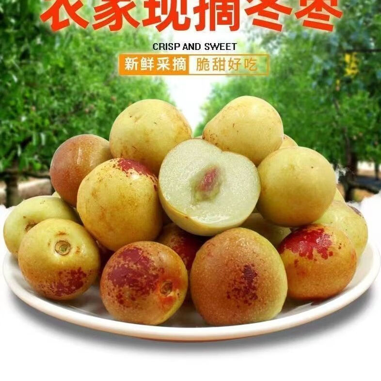 伯贤(boxian)冰糖枣,核小肉厚,脆甜无渣.现摘现发,产地直发.