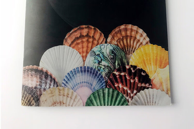 贝壳片多彩涂料内墙面肌理漆生态艺术壁材环保贝壳粉bk2c31sl中颗粒1l