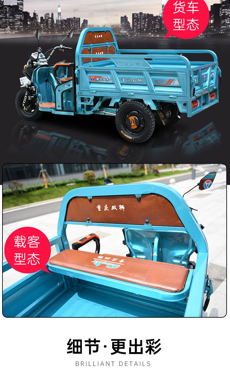 双狮电动三轮车新款成人代步载拉货快递三轮车家农用载重王电瓶车1500