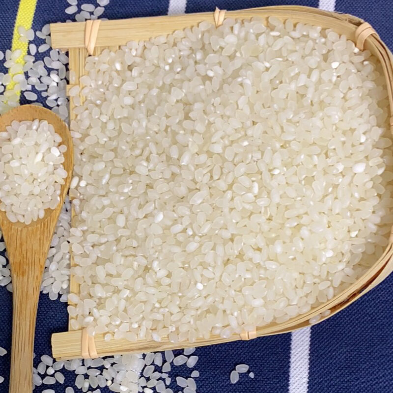 江苏大米崇明软香米10千克袋家庭装9108煮粥蒸软糯香软20斤 冬甜崇明