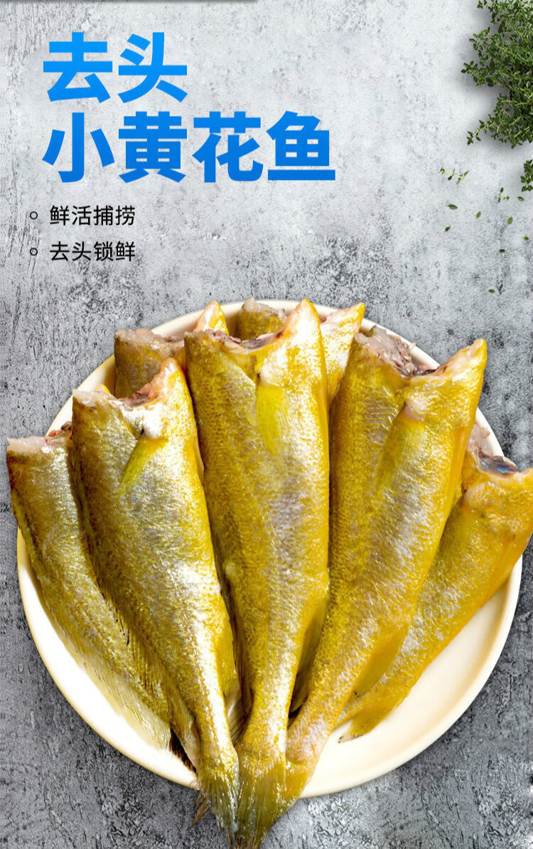 新鲜去头黄花鱼鲜活冷冻小黄鱼野生海捕深海鱼海鲜 3斤装 去头黄鱼