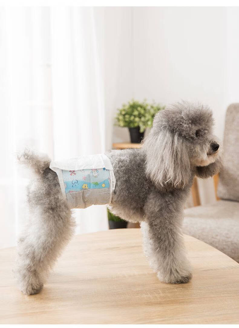 宠物纸尿裤小型犬小狗尿不湿姨妈巾母狗狗生理裤卫生裤尿裤防孕裤