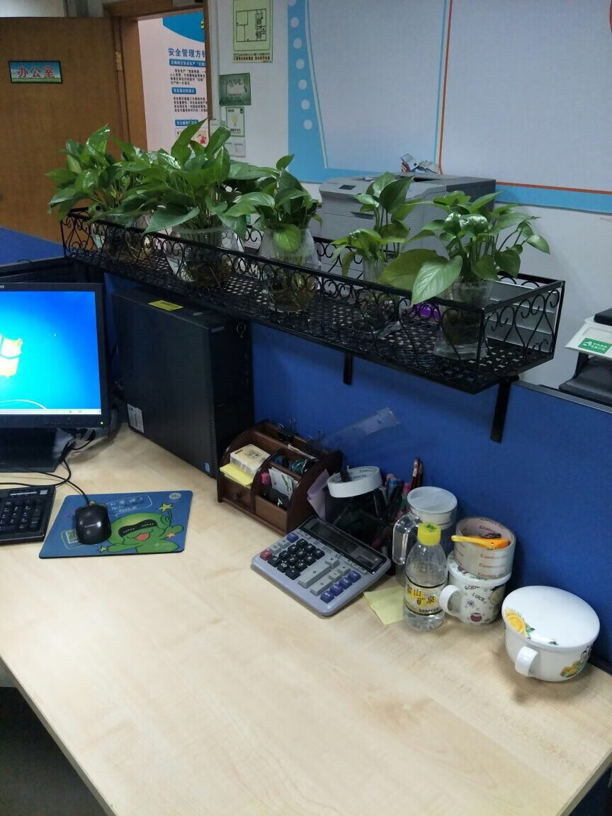 可狄办公室铁艺花架桌面工位隔板置物架室内小盆景多肉植物绿萝盆栽