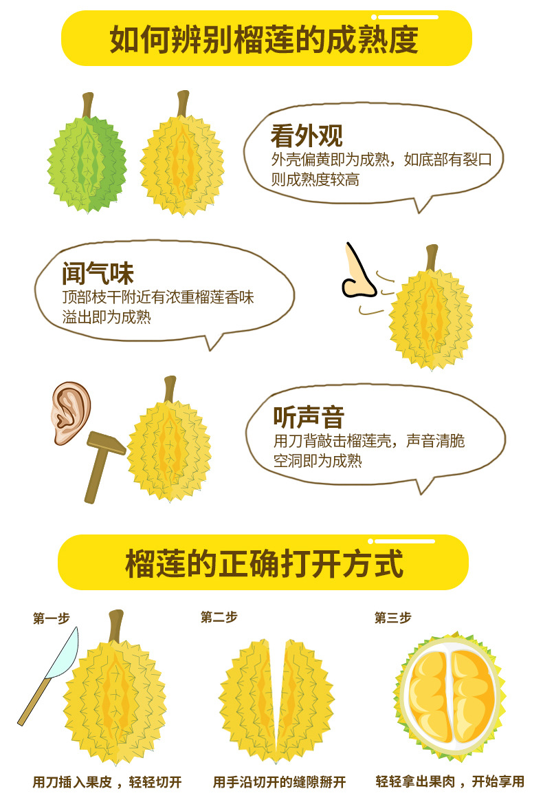 顺丰冷链进口泰国金枕头榴莲新鲜特产水果当季带壳金枕榴莲精选1个装