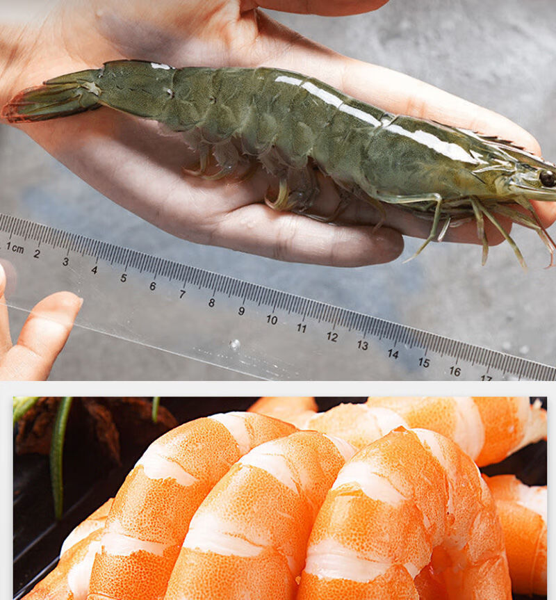 盐冻青岛大虾鲜活新鲜特大号大海虾批发4斤一整箱20/30-30/40规格 12