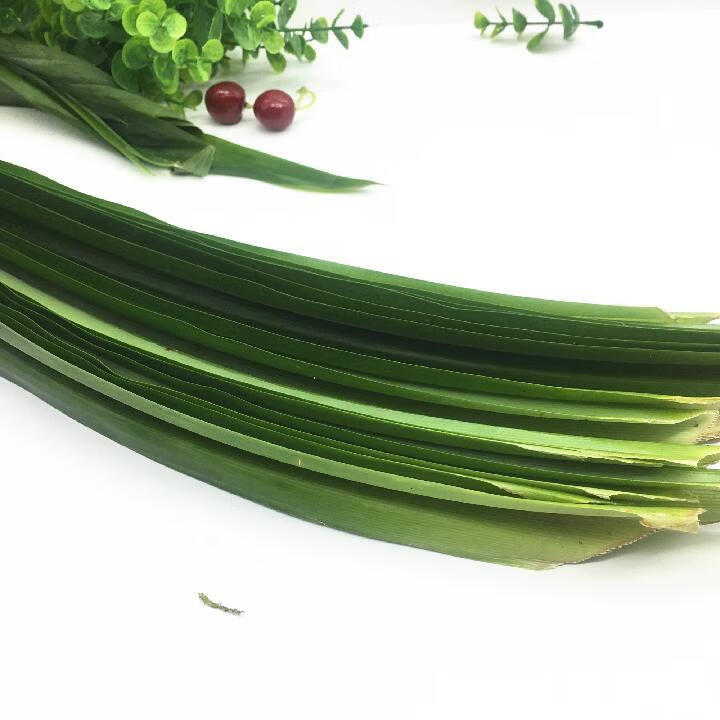 泰国新鲜班兰叶500g 香兰叶斑斓叶千层蛋糕烘焙 泰国咖喱叶半斤