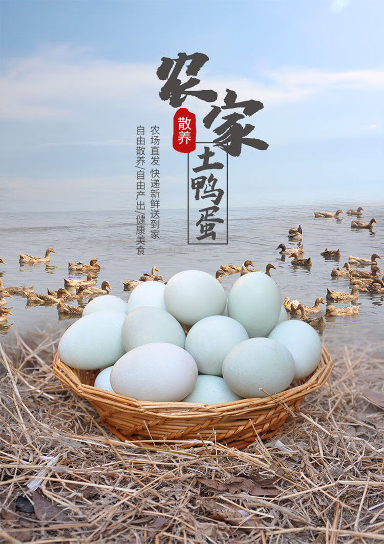 生鸭蛋新鲜10枚农家散养绿壳土鸭蛋麻鸭蛋生鲜草鸭蛋海鸭蛋 现捡土