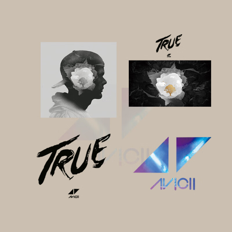 avicii专辑卫衣男连帽秋季百搭宽松学生秋冬款情侣帽衫男士初中高中