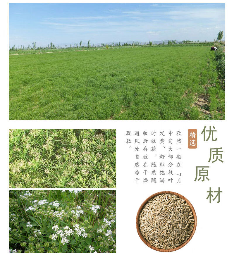 孜然粒孜然粉批发家用烧烤材料调料撒料腌料香料鸡翅包饭炸鸡裹粉