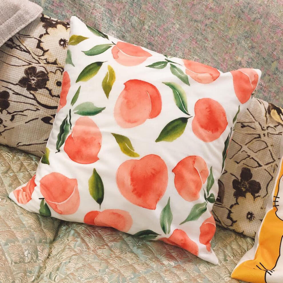 心靠垫夏季沙发寝室桃子靠垫床上抱枕蓝莓40x40cm单面图案枕套枕芯