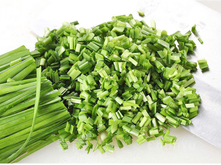 现挖韭菜根苗本地紫根韭菜种子蔬菜种子籽苗四季绿色蔬菜 抄底套餐