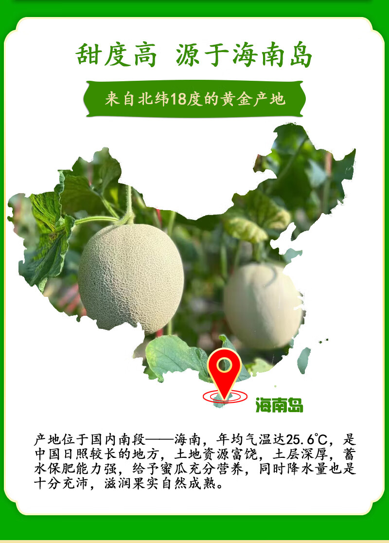 晶太太爆甜海南玫珑瓜甜瓜新鲜水果当季冰激凌网纹蜜瓜甜瓜2粒5斤装