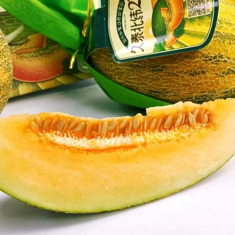 春光岛 现货久泰北纬23度蜜瓜新鲜1个起脆甜哈密瓜当季多省 坏果包赔