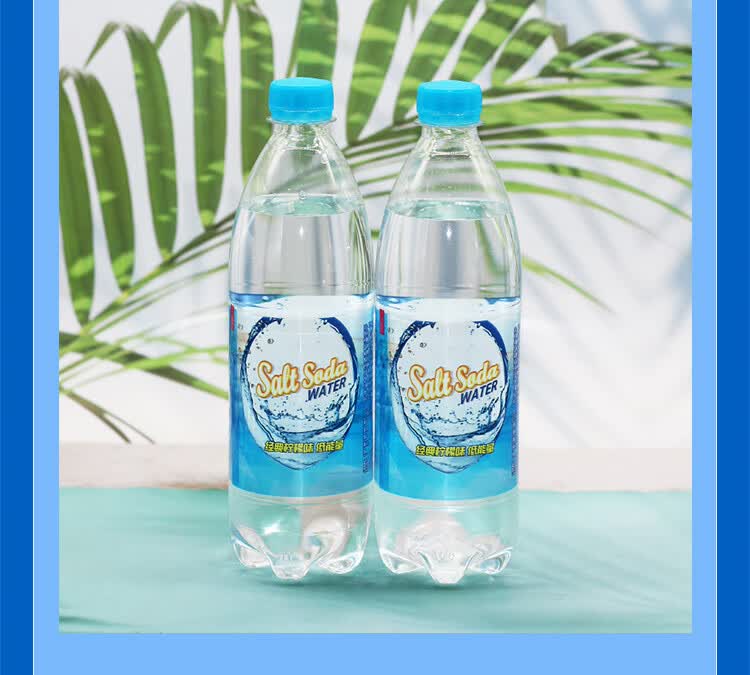 盐汽水 正广和盐汽水 雪菲力盐汽水 碧纯盐汽水600ml整箱饮料 盐汽水