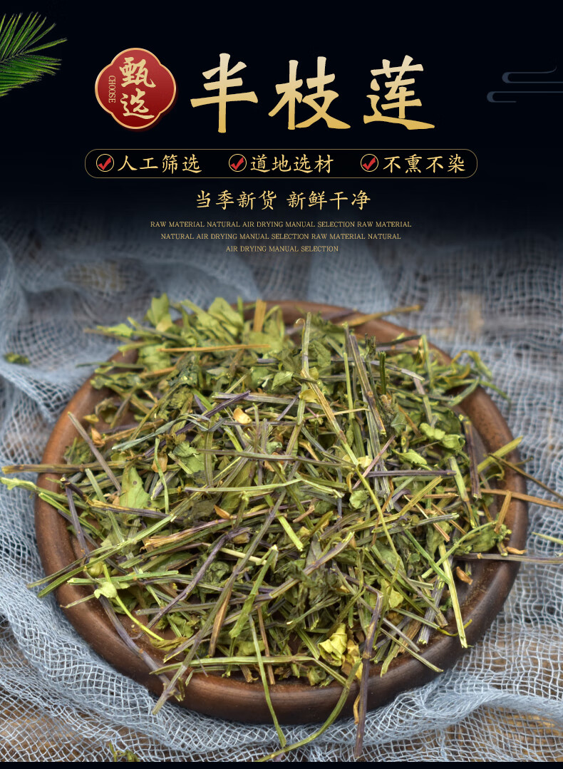 半枝莲草药图片(半枝莲草药图片 药用价值)