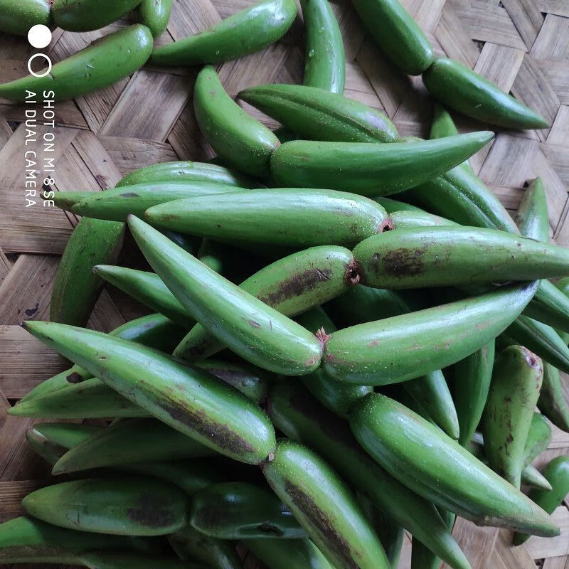 新鲜羊排果云南西双版纳特色酸果牛角果酸果新鲜羊排果牛角果2斤