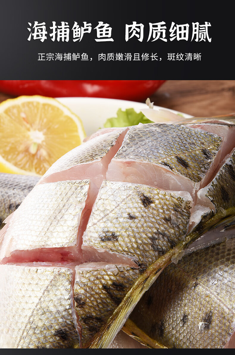 新鲜鲈鱼3条鲜活冷冻海鲜深海鱼水产清蒸鲈鱼红烧七星海鲈鱼商用
