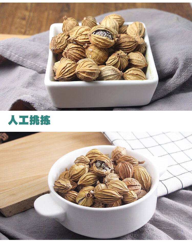 好乔香砂50克 川沙仁 金砂仁 香砂仁大砂仁 炖肉卤味调料香料大全散装