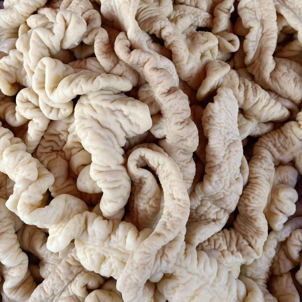 猪大肠新鲜去油肥肠冷冻猪肠子半熟半成品猪下水火锅商用食材 2斤