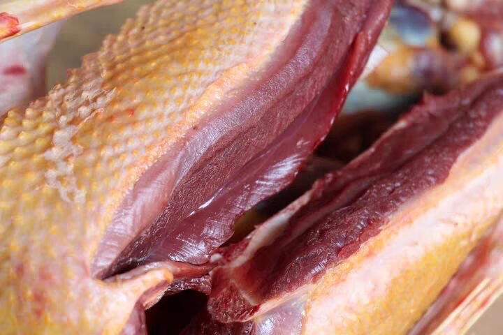 只超值装黑番鸭顺丰腾旺纳跃1只青头水鸭公1只黑毛芦鸭寄广东省内专拍