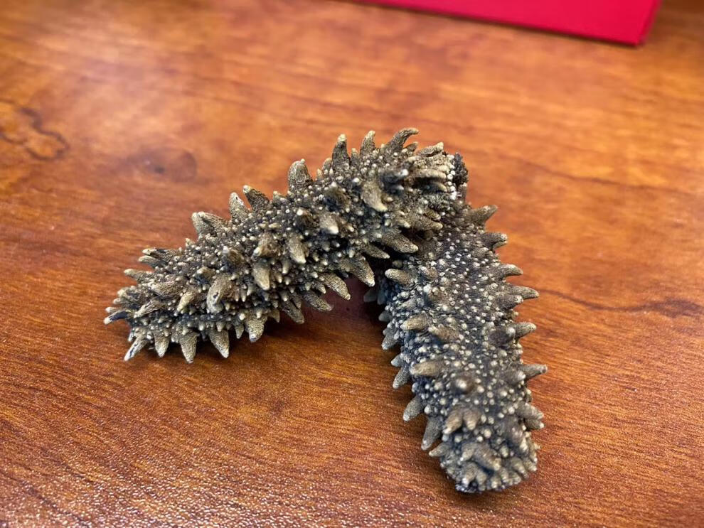 日本关东参北海道海参六排刺纯淡干关东海参北海道红参干货50g优选79