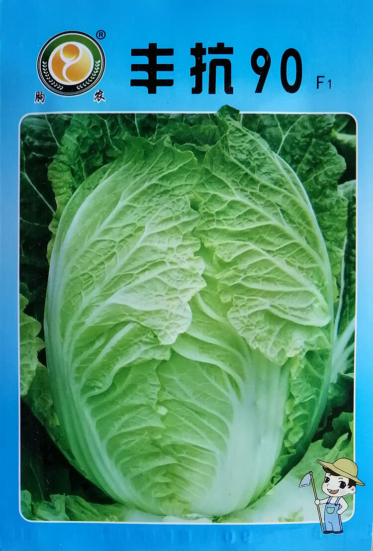 大白菜大全种子孑籽四季结球包心高杆青梗白梗白菜黄芽菜泡酸菜 伟铭