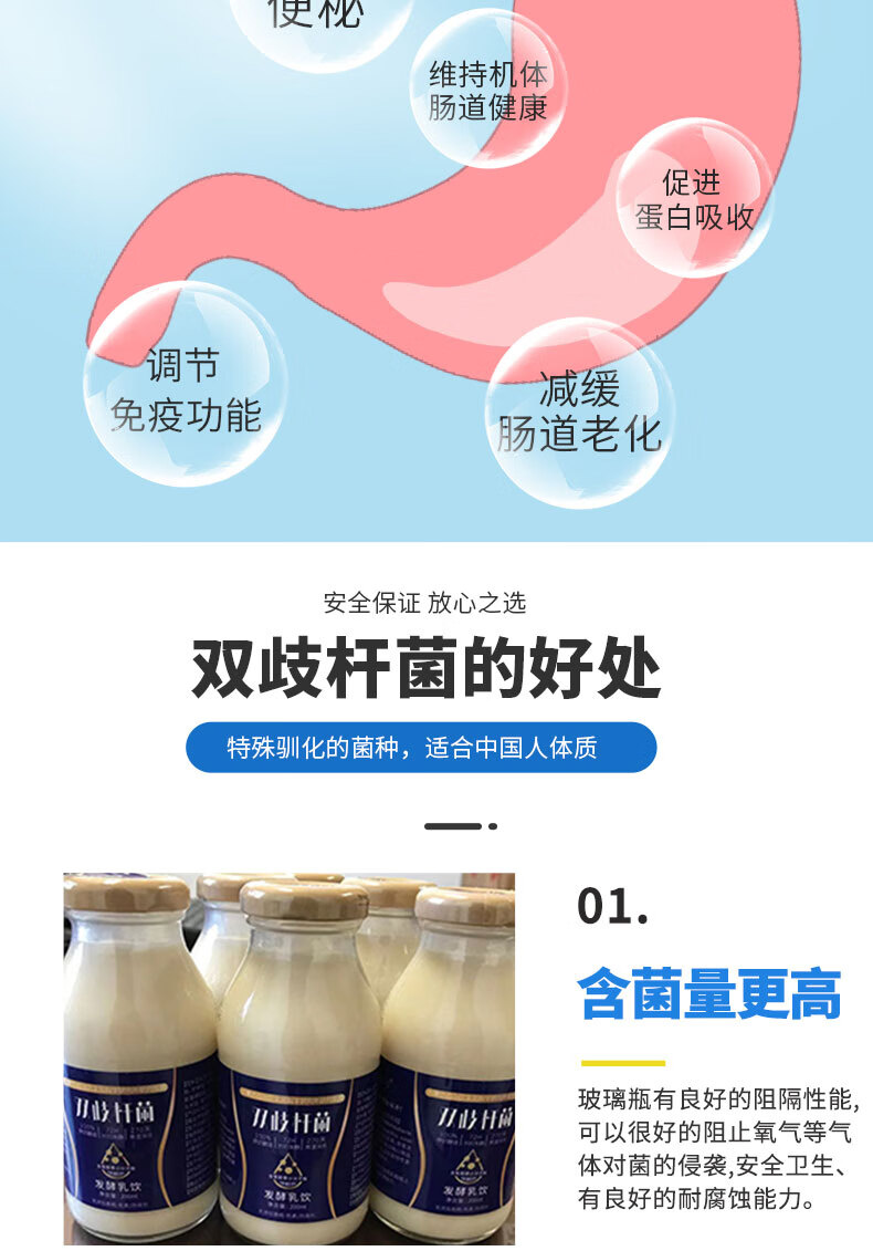 双歧杆菌乳品益生菌酸奶肠胃纯牛乳风味发酵乳牛奶乳酸菌饮品 双歧