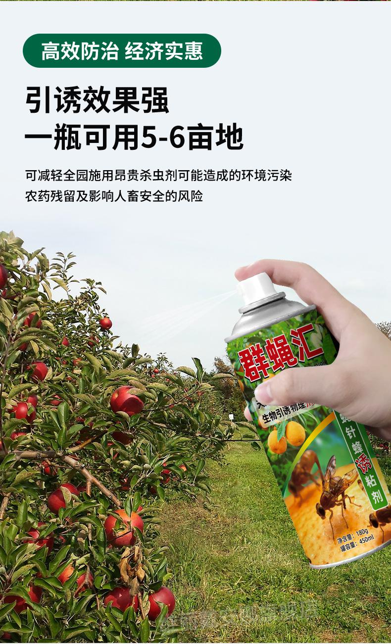 家用果蝇诱捕器群蝇汇瓜果实蝇诱粘剂针蜂引诱剂防果蝇专用药昆虫粘虫