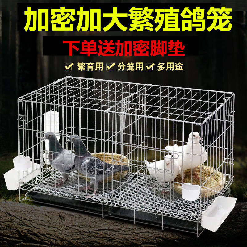 【京选推荐】鸽子笼养殖笼家用带隔断配对繁殖笼大号鸽舍鸽子用具折叠