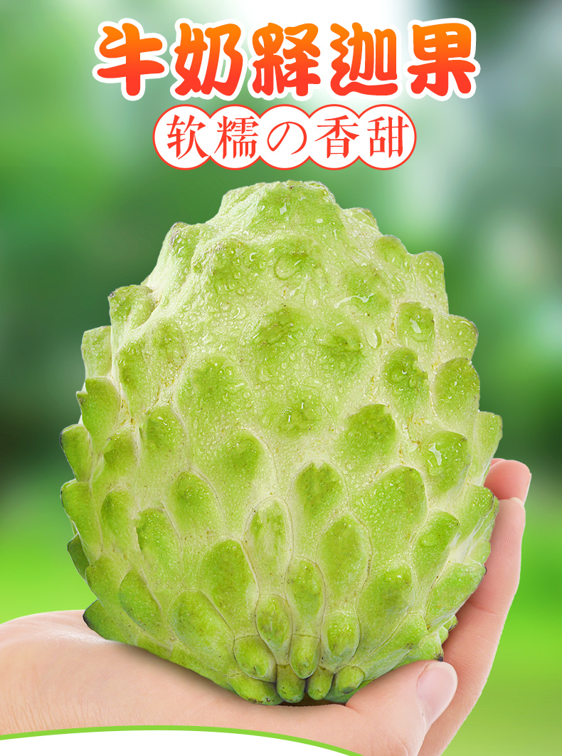 牛奶释迦果5斤新鲜番荔枝佛头摩尼果当季水果整箱6个实惠装丨