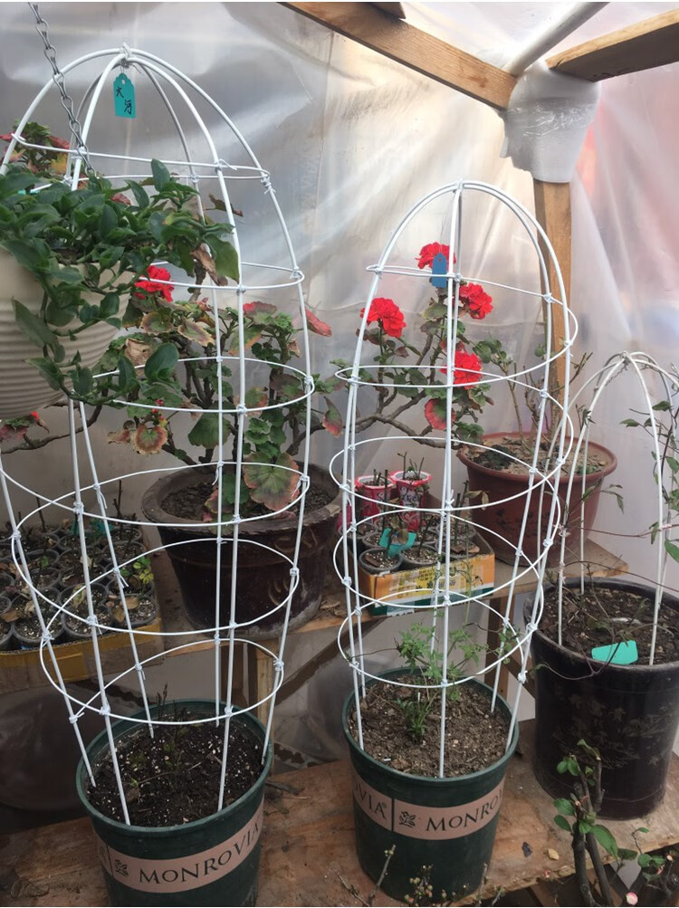 花卉防倒支架花卉造型铁丝手工diy铁线莲花架养花支撑棍月季植物绑花