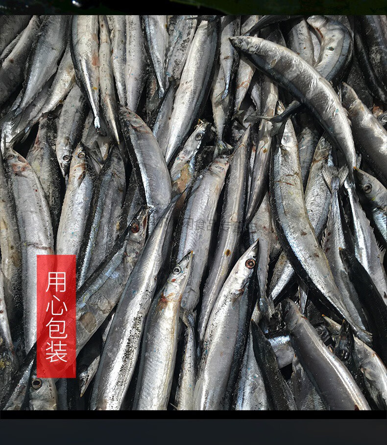 秋刀鱼 秋刀鱼5斤 鲜活 冷冻 秋刀鱼 烧烤食材 深海捕捞冰鲜 海捕捞冰