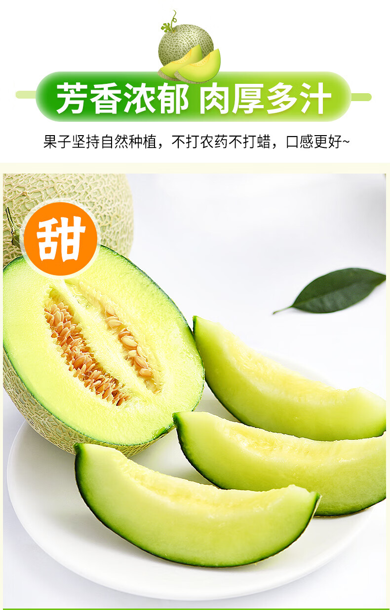 海南玫珑蜜瓜12斤网纹哈密瓜新鲜水果当季玲珑冰淇淋奶香梅陇甜瓜1500