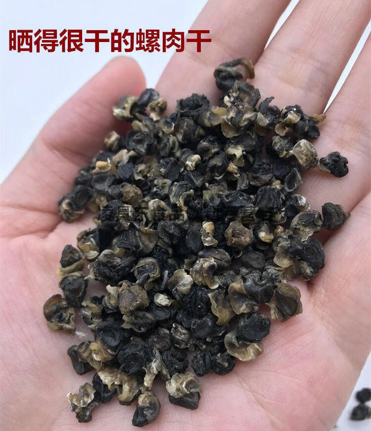 螺蛳肉干干螺蛳肉螺蛳粉专用田螺肉农家自晒螺丝肉250g小号干螺丝肉