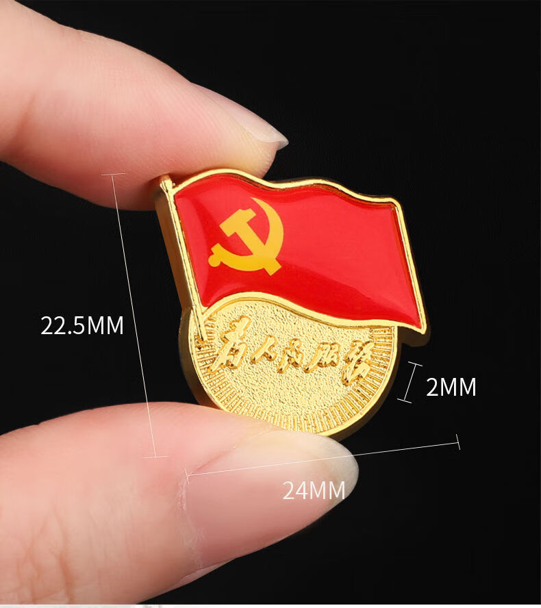 腾亿优品标准型党徽为人民服务别针式胸针党旗吸铁石新党员胸章徽章15