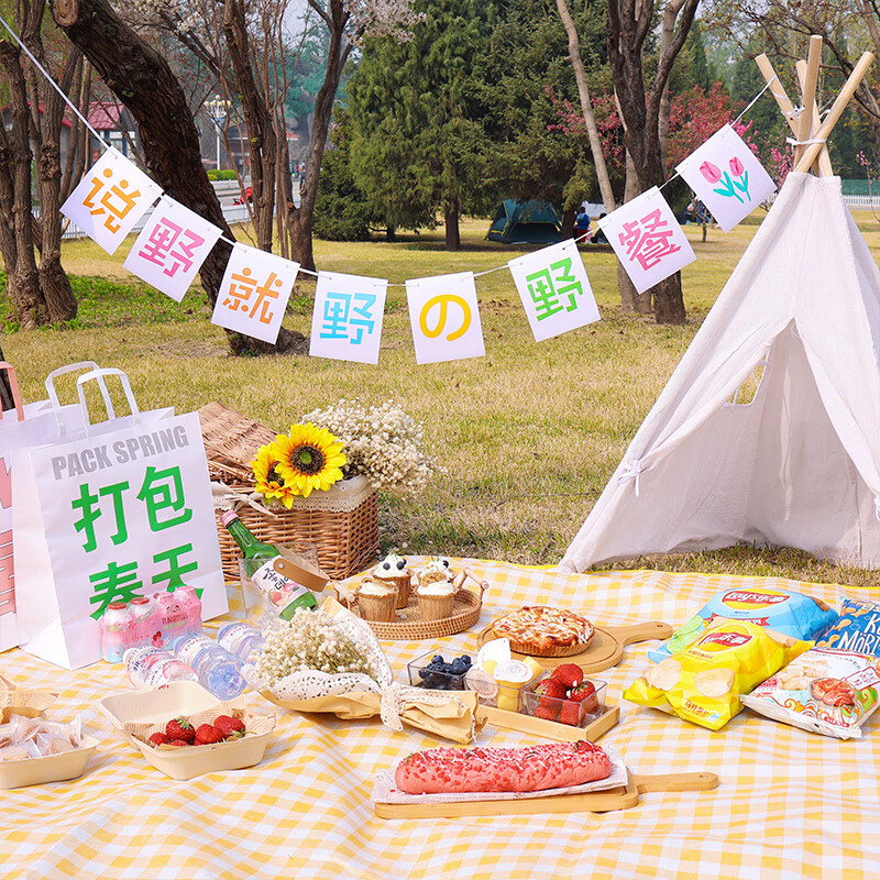 【好物推荐】野餐春游装饰场景布置 网红春游野餐布置装饰户外拍照