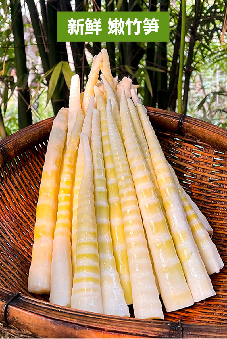 野生竹笋春笋笋片火锅笋子新鲜小竹笋清水笋罗汉笋嫩笋尖商用6斤