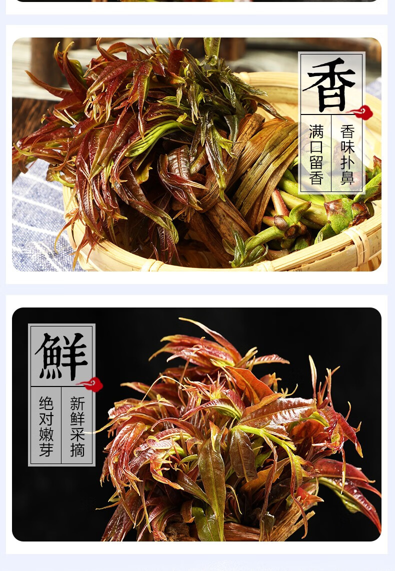 香椿云南绿香椿芽新鲜香椿野生香椿芽野菜蔬菜香椿500g拍两份更划算