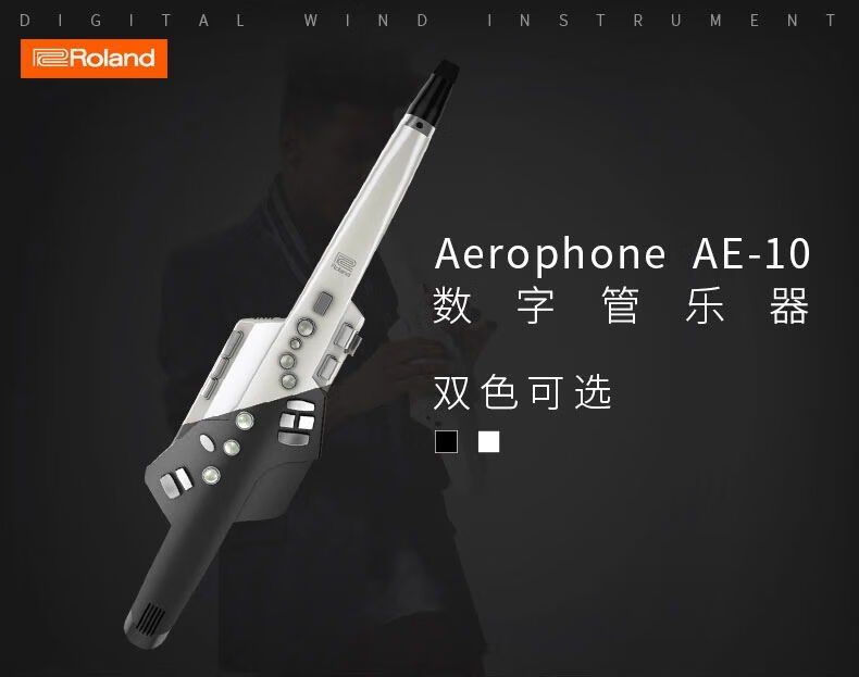 全新罗兰电吹管乐器电子吹管电萨克斯初学者hl定制款 罗兰ae10电吹管