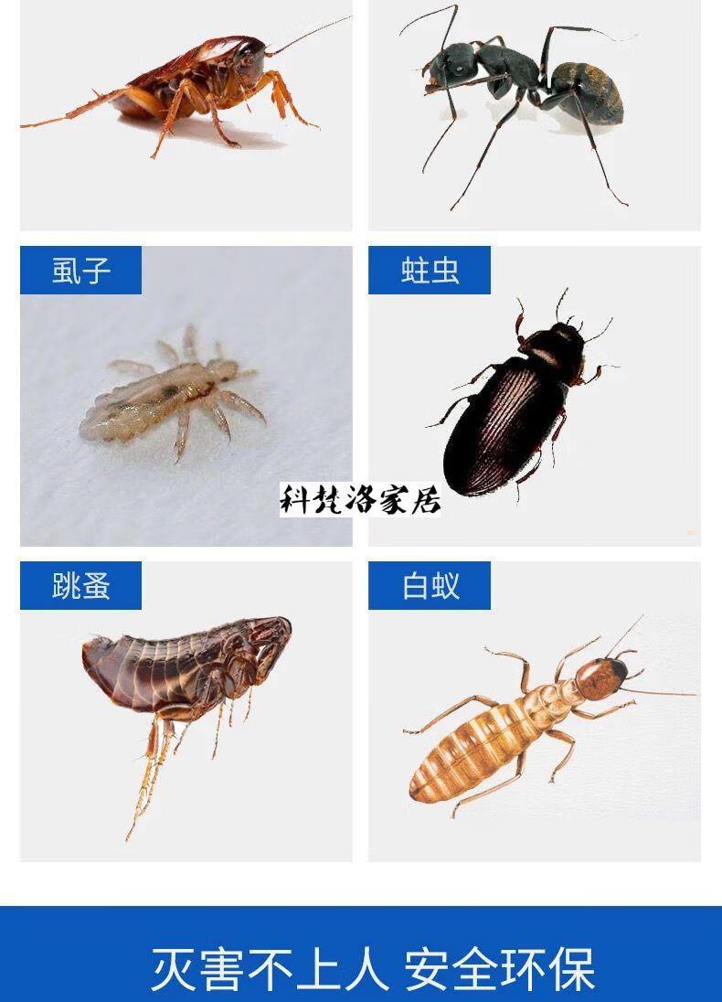 蓬诚杀虫粉灭蚂蚁蟑螂潮虫蜈蚣跳蚤虱子药家用杀虫剂杀臭虫药10瓶杀虫