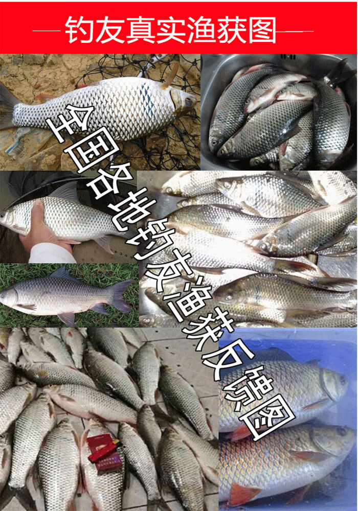 x上鱼工坊鲮鱼饵料广东土鲮鱼料黑坑野钓鲮鱼腥香钓饵小药窝料配方音