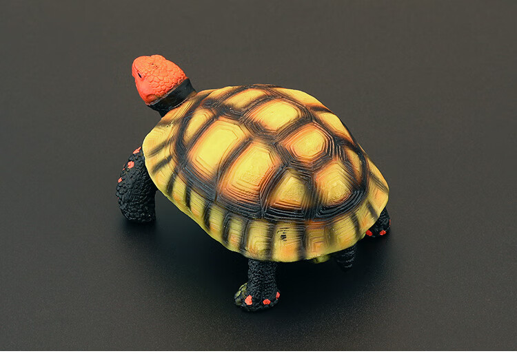 知鹿实心儿童仿真动物玩具野生动物模型陆龟象龟辐射乌龟认知礼品摆件