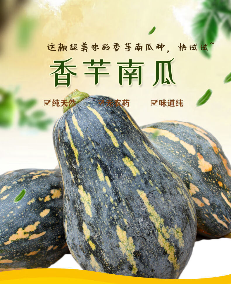 正宗广西香芋南瓜39斤老小南瓜新鲜蔬菜批发板栗南瓜香芋南瓜335斤12