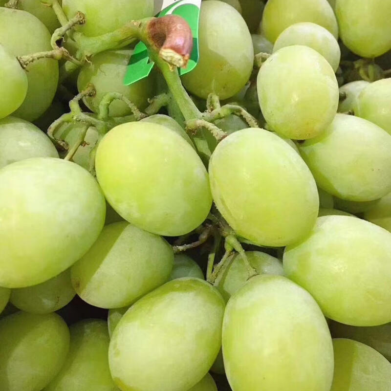 顺丰速运澳洲进口甜地球2斤秋天酥青提无籽葡萄脆甜多汁新鲜孕妇水果