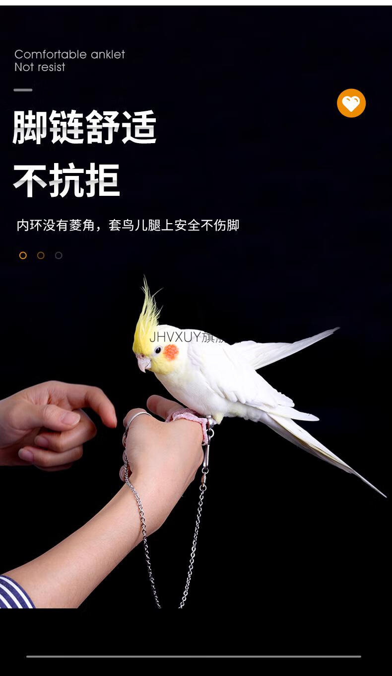 鳥套繩玄鳳虎皮牡丹腳環鳥架站架手養鳥繩用品超輕不鏽鋼鸚鵡腳鏈不傷